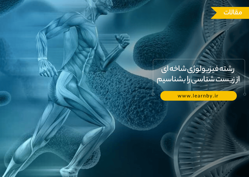  رشته فیزیولوژی شاخه ای از زیست شناسی را بشناسیم 