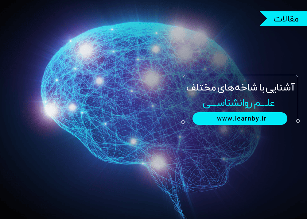  آشنایی با شاخه های مختلف علم روانشناسی 