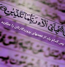 نیما بیرانوند